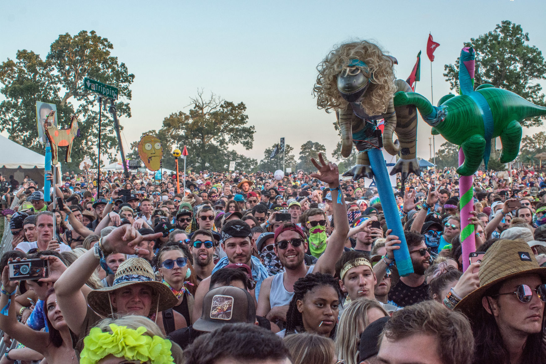 Bonnaroo FRONT - crowd file photo.jpg